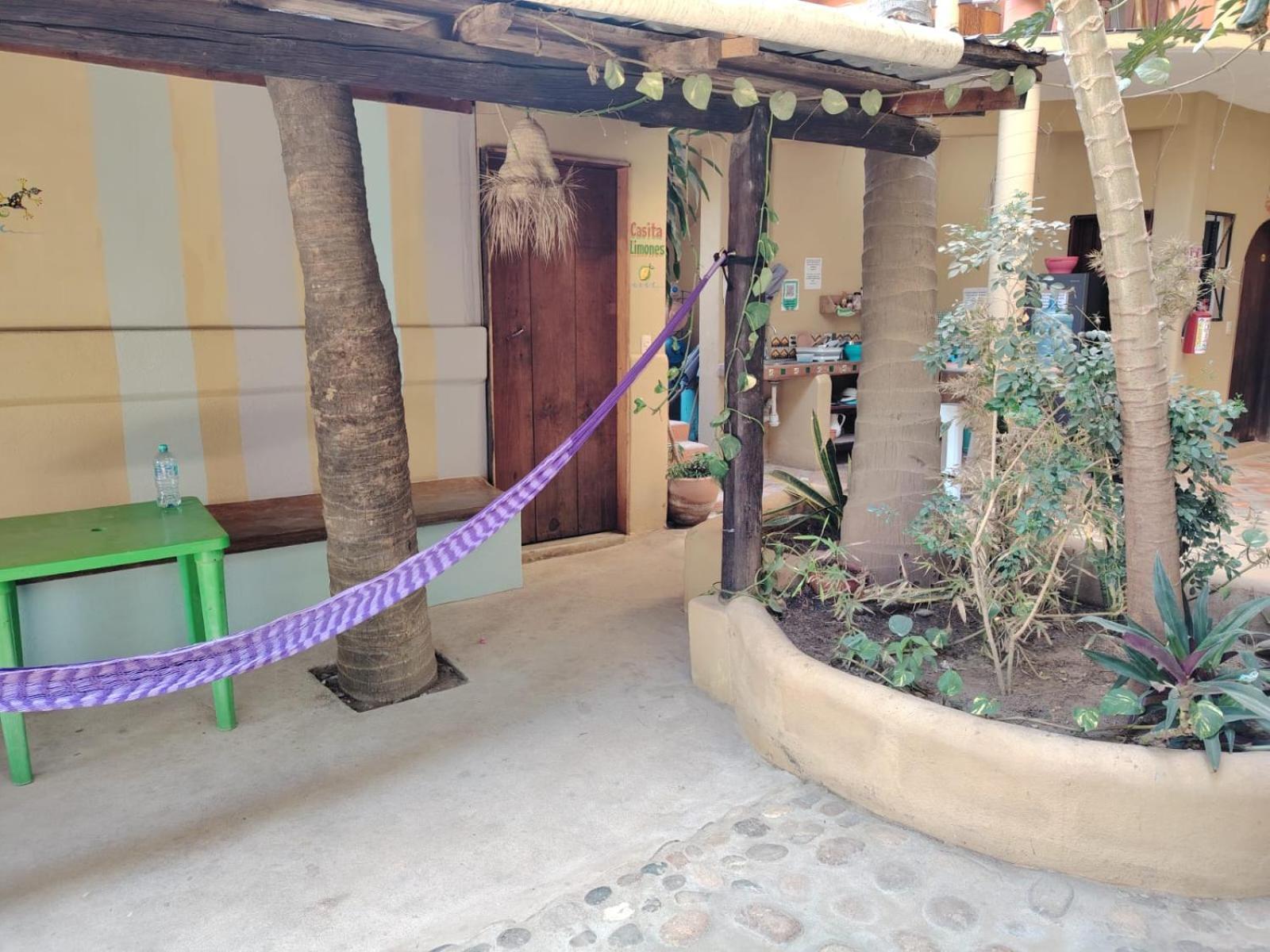 Punta Mar Hotel Brisas de Zicatela ภายนอก รูปภาพ
